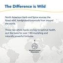 north-american-herb-spice-oil-of-black-s-5.jpg