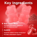 meenccd-2-pack-red-yeast-rice-with-coq10-4.jpg