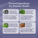 flow-active-prostate-health-supplements--5.jpg