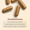 choq-daily-with-500mg-purified-shilajit--3.jpg