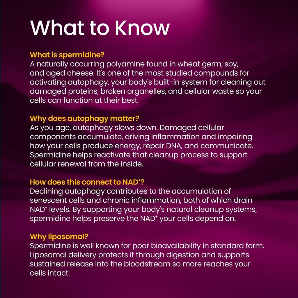 renue-by-science-spermidine-supplements--4.jpg