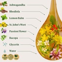 herbamama-mood-support-supplement-ashwag-4.jpg