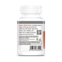 kyolic-specialty-series-immune-mushrooms-4.jpg