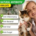 antibiotics-for-cats-cat-antibiotics-for-2.jpg