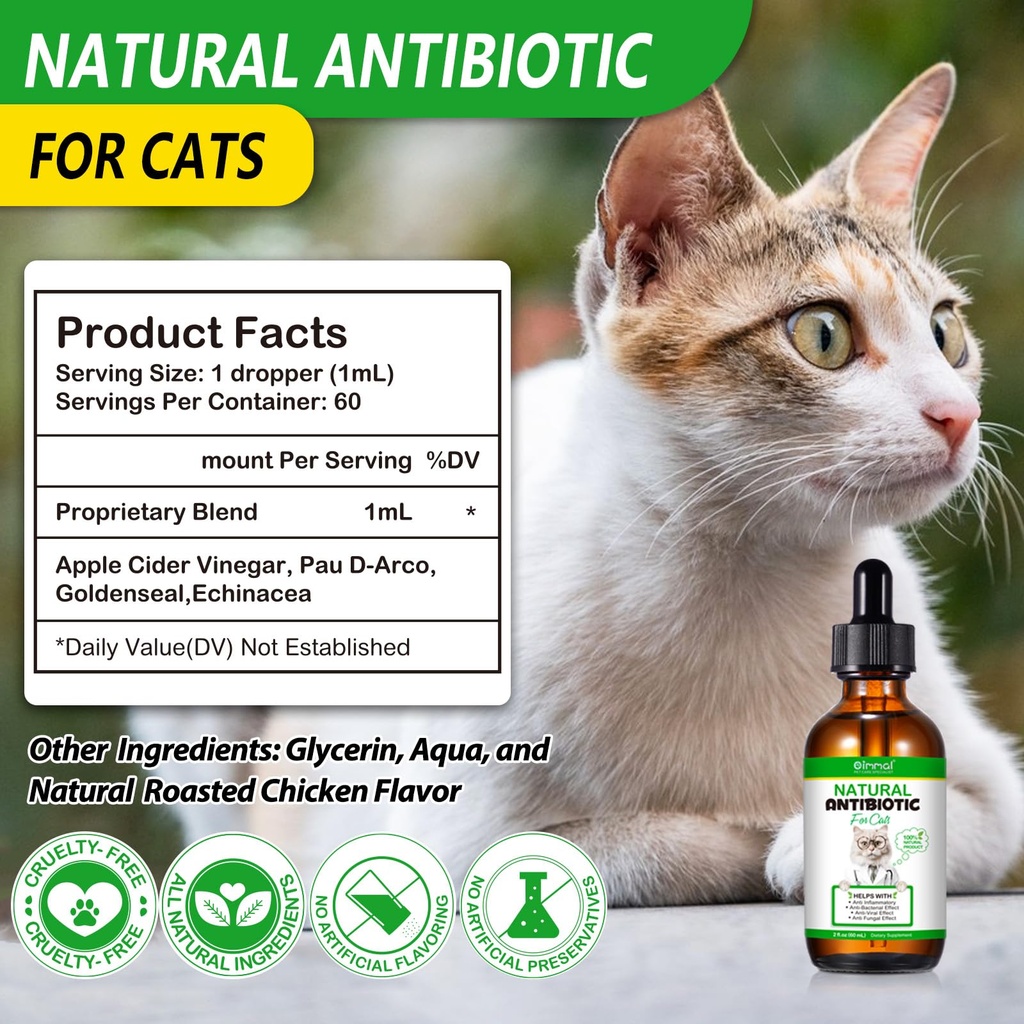 antibiotics-for-cats-cat-antibiotics-for-5.jpg