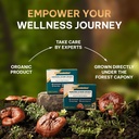 vos-ganolucidum-combo-for-better-health--5.jpg