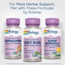solaray-holy-basil-1000-mg-tulsi-holy-ba-6.jpg