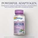 solaray-holy-basil-1000-mg-tulsi-holy-ba-3.jpg