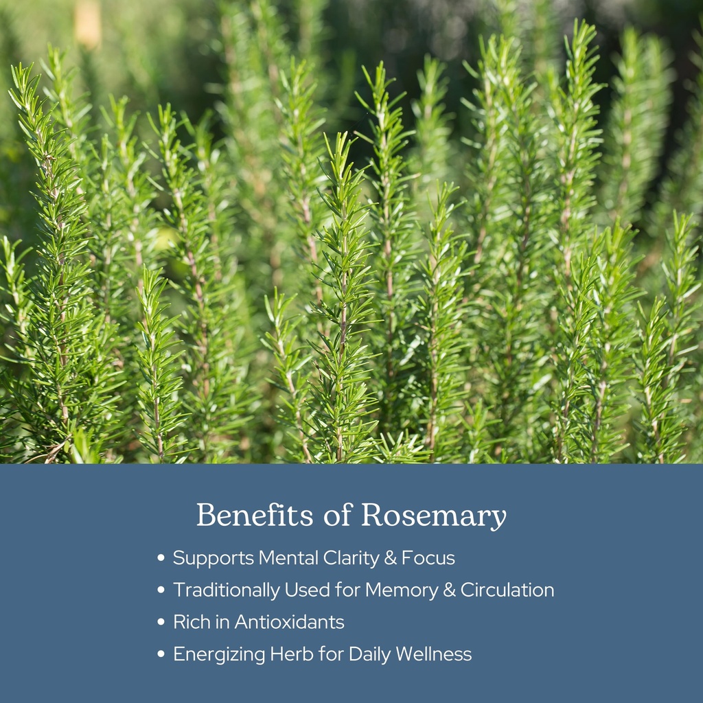 eclectic-herb-rosemary-capsules-cognitiv-4.jpg