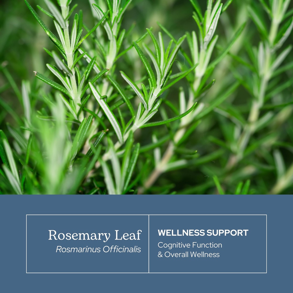 eclectic-herb-rosemary-capsules-cognitiv-3.jpg
