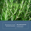 eclectic-herb-rosemary-capsules-cognitiv-3.jpg