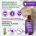 4-oz-blue-vervain-extract-liquid-drops-m-3.jpg