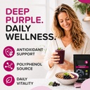 natural-aronia-berry-powder-black-chokeb-2.jpg