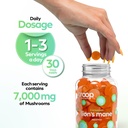 troop-lion-s-mane-mushroom-gummies-peach-4.jpg