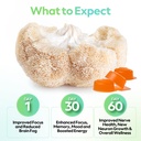 troop-lion-s-mane-mushroom-gummies-peach-2.jpg