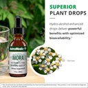 nutramedix-mora-yarrow-extract---yarrow--5.jpg