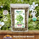 rani-organic-bacopa-monnieri-waterhyssop-4.jpg
