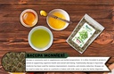 rani-organic-bacopa-monnieri-waterhyssop-6.jpg