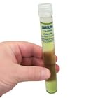 chlorella-living-3.jpg
