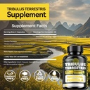 tribulus-terrestris-supplement-for-men-t-2.jpg
