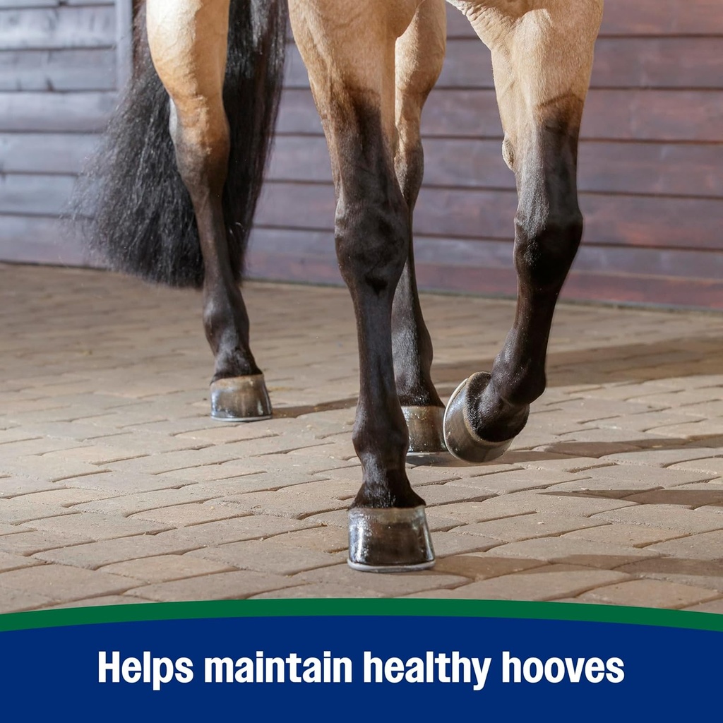 farnam-horseshoers-secret-pelleted-hoof--6.jpg