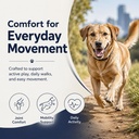 healthy-petz-premium-liquid-collagen-coa-2.jpg