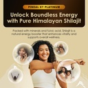 pineal-xt-platinum-pure-himalayan-shilaj-3.jpg
