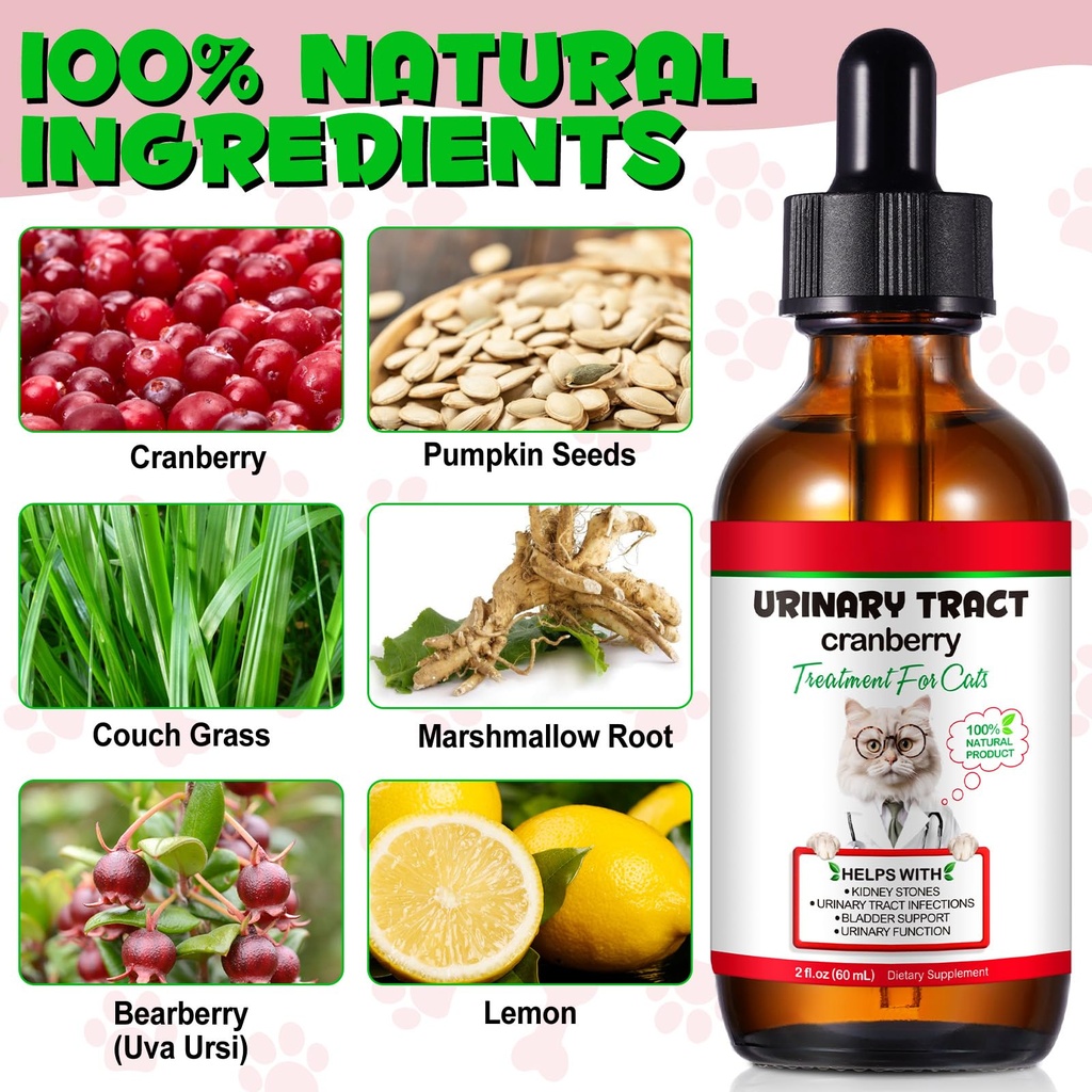 cat-urinary-tract-infection-treatment-ca-2.jpg