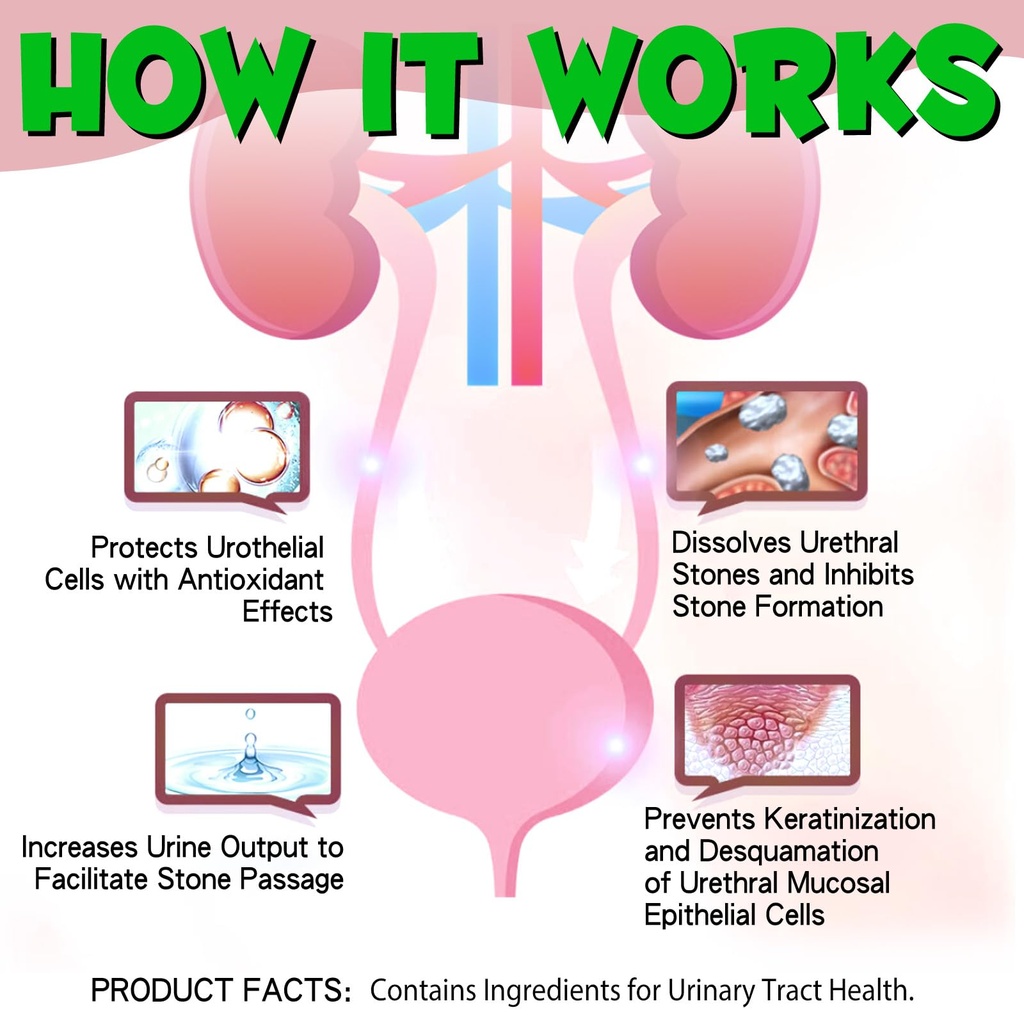 cat-urinary-tract-infection-treatment-ca-4.jpg