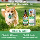 antibiotics-for-dogs-dogs-antibiotic-liq-4.jpg