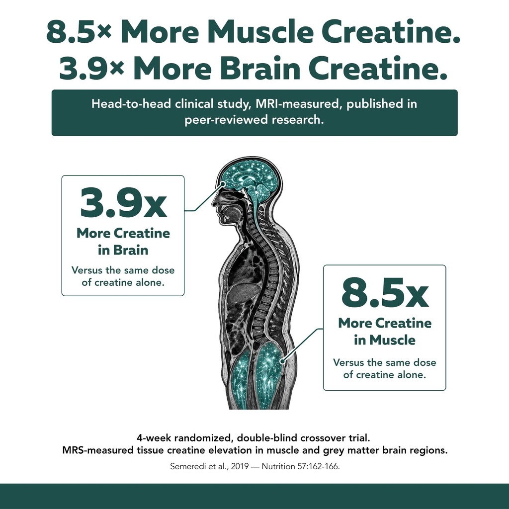 creatine-reserve-creatine-monohydrate-po-5.jpg