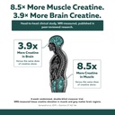 creatine-reserve-creatine-monohydrate-po-5.jpg