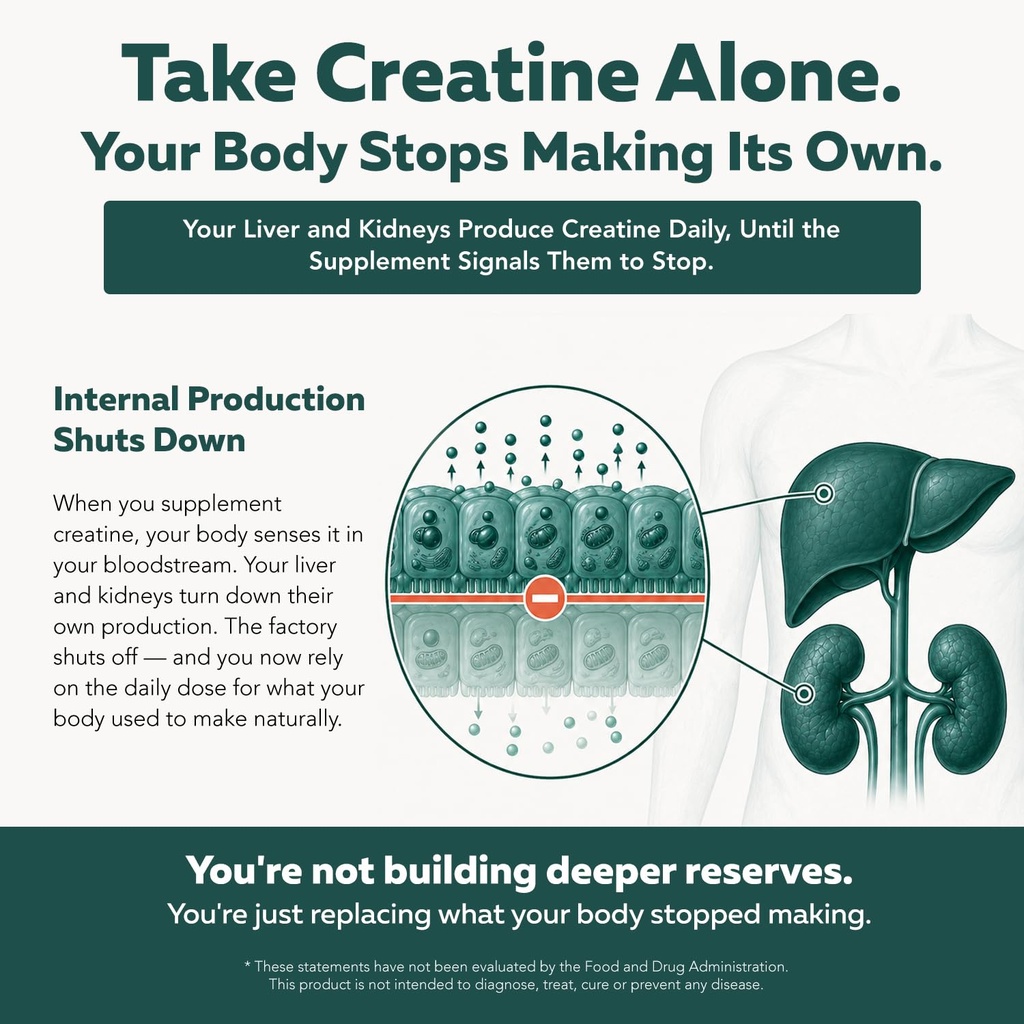 creatine-reserve-creatine-monohydrate-po-3.jpg