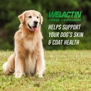 nutramax-welactin-omega-3-fish-oil-for-d-2.jpg