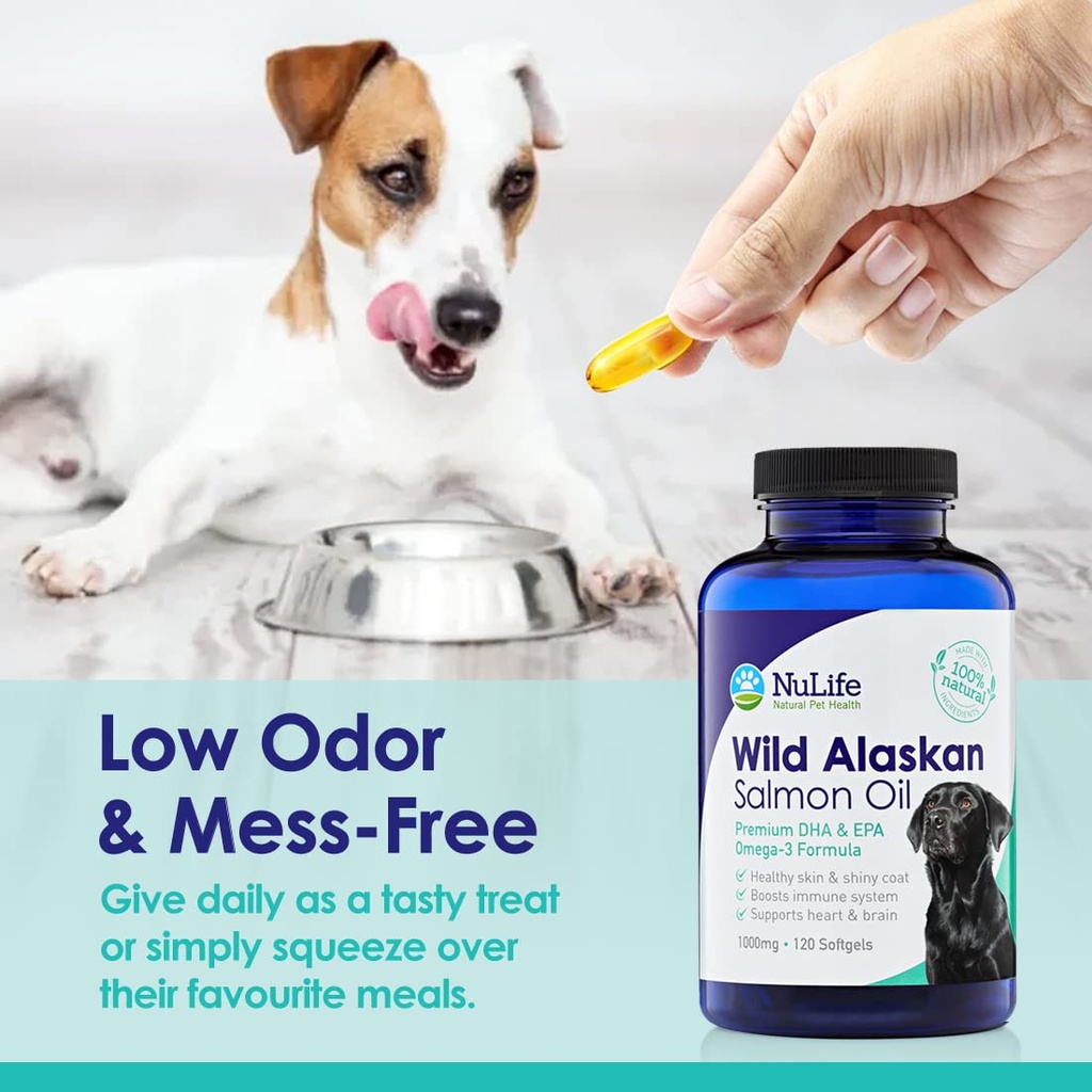 pure-wild-alaskan-salmon-oil-for-dogs-om-6.jpg