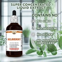 bilberry-vaccinium-myrtillus-dry-leaf-ti-6.jpg