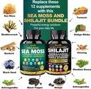 sea-moss-shilajit-for-energy-boost-irish-2.jpg