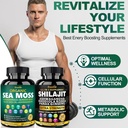 sea-moss-shilajit-for-energy-boost-irish-3.jpg