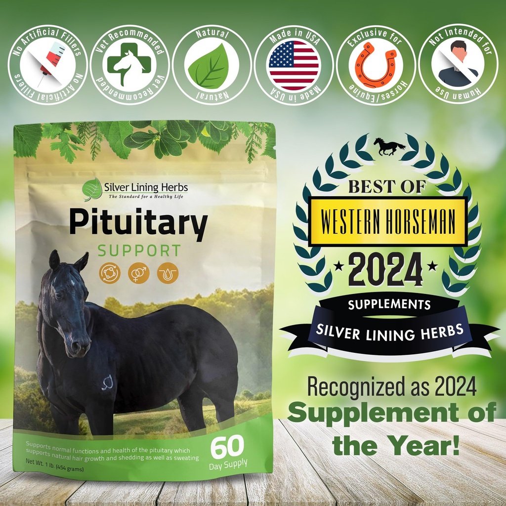 horse-pituitary-gland-supplements-1-lb-p-5.jpg