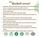 spirulina-plus-superfood-protein-trikatu-5.jpg