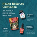 dragon-herbs-pearl-powder-capsules-pure--6.jpg