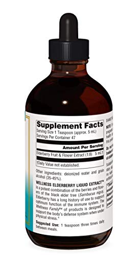 source-naturals-wellness-elderberry-liqu-6.jpg
