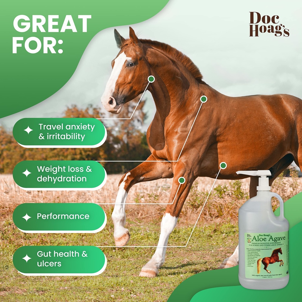 doc-hoag-s-aloe-vera-agave-premium-horse-3.jpg