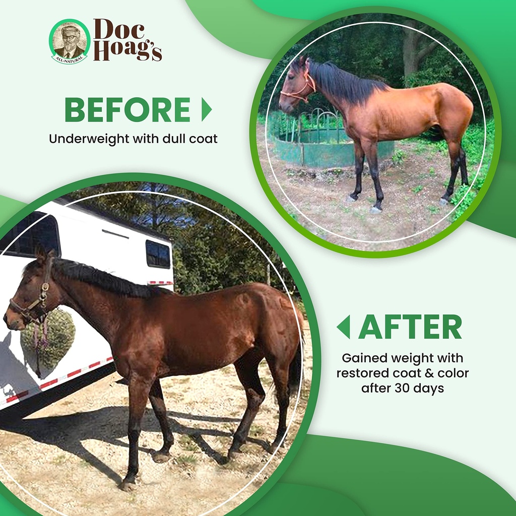 doc-hoag-s-aloe-vera-agave-premium-horse-5.jpg