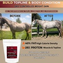pennwoods-body-builder-4000-horse-weight-2.jpg