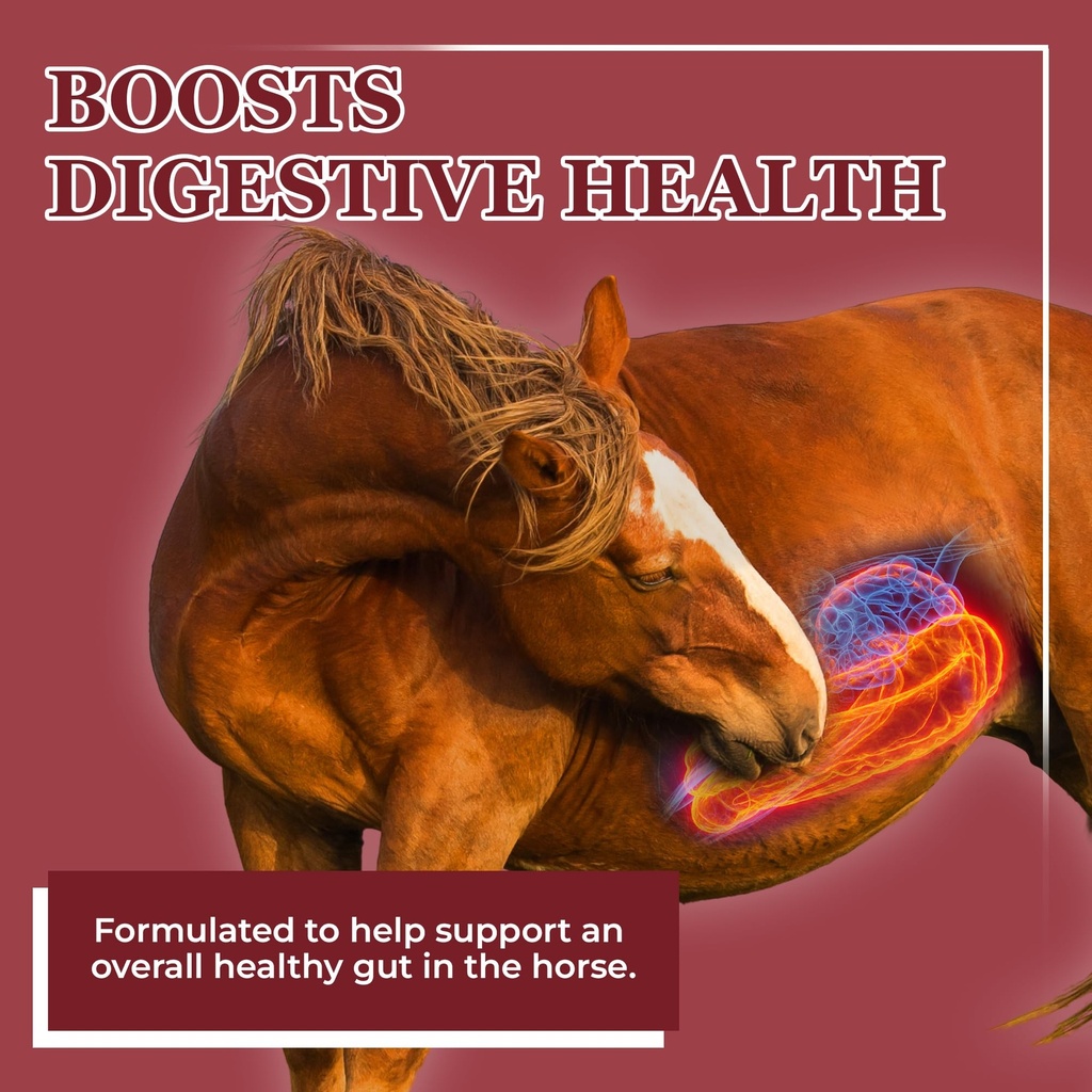 equerry-s-better-horse-belly-gut-support-2.jpg