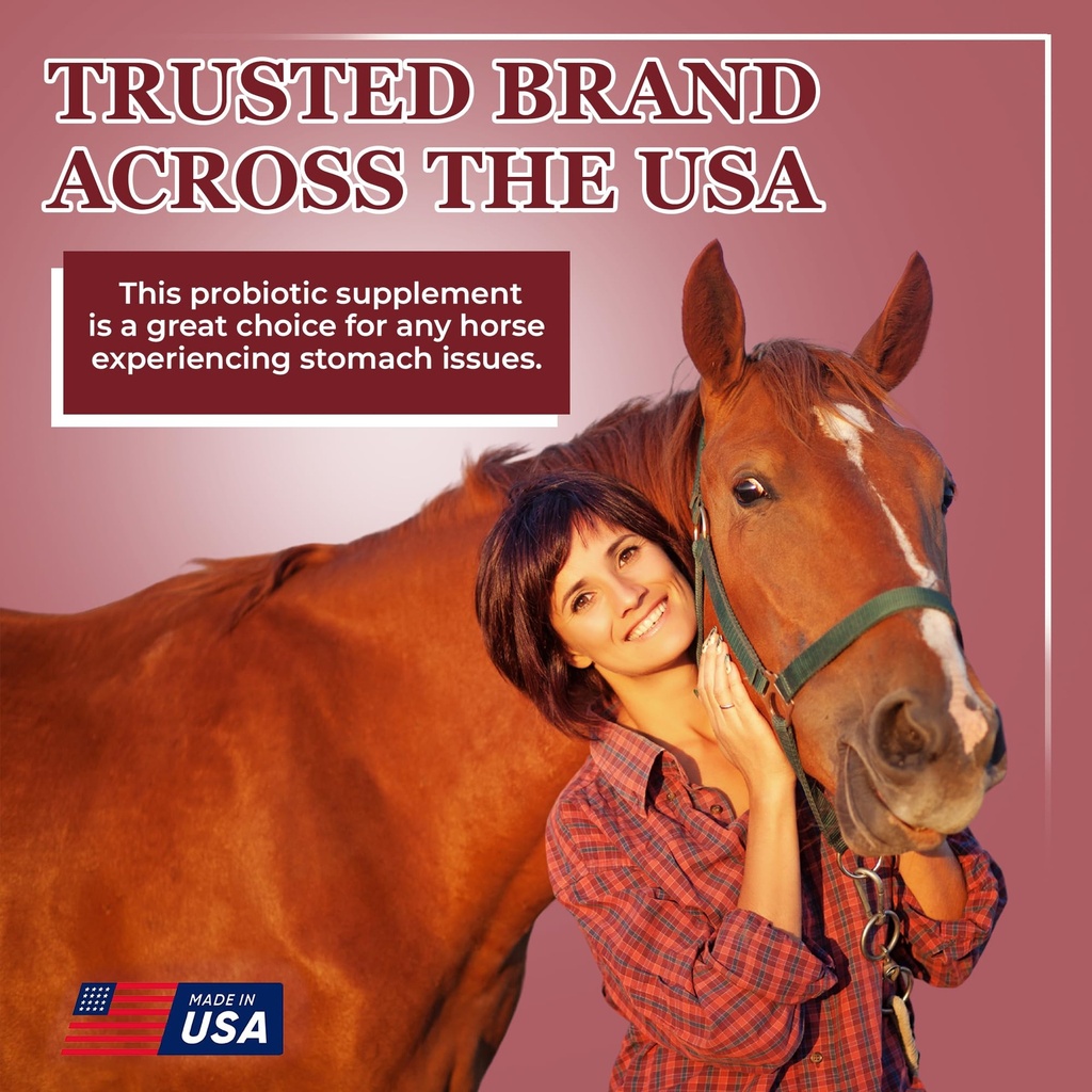 equerry-s-better-horse-belly-gut-support-5.jpg