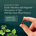 gaia-herbs-period-cramp-support-60-vegan-81FCXPY8qoL.jpg