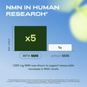 cata-kor-nmn-supplement-powder-1000-mg-p-61v5mw9PSSL.jpg