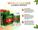 garlique-healthy-cholesterol-garlic-supp-810IhuFDRBL.jpg